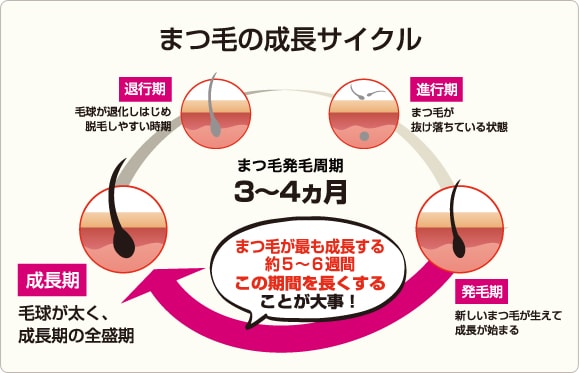 パーリーデュー [ pearlydew ] オフィシャルサイト│山口眞未子