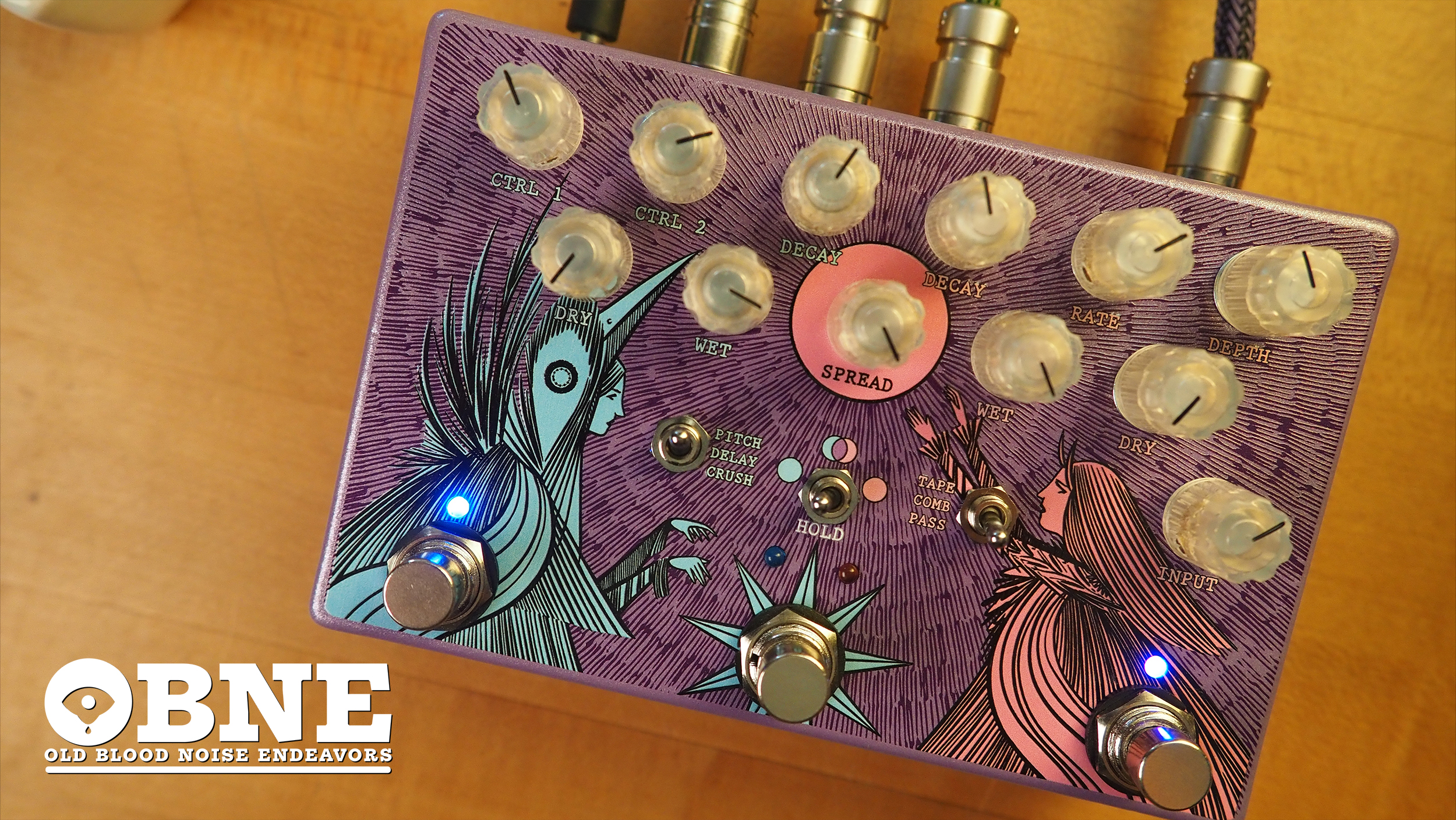 Old Blood Noise Endeavors Dark Light Dual Reverb - Pedal of the Day