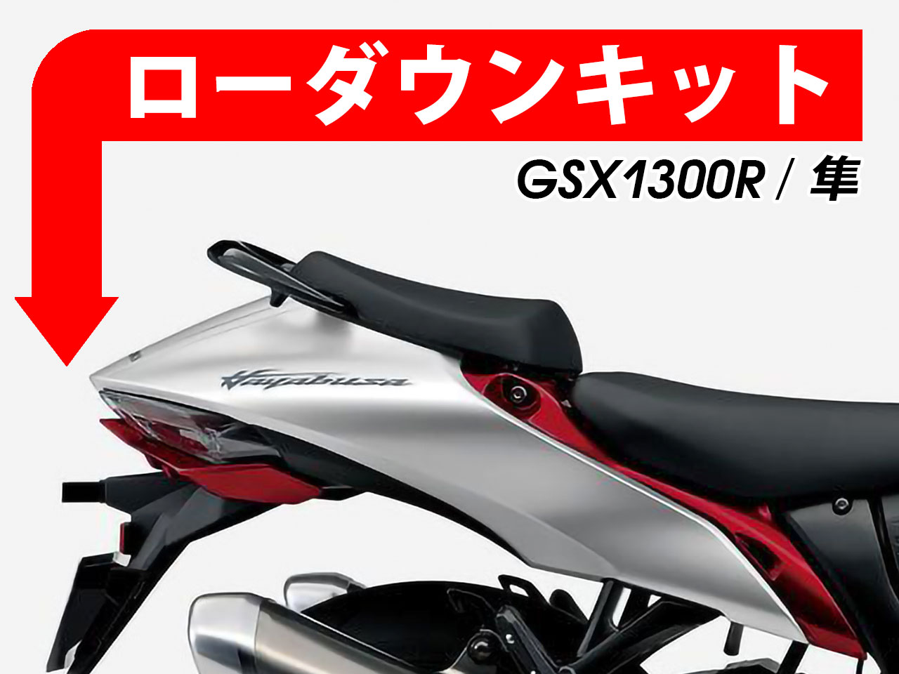 Hayabusa / 隼 GSX1300R ('21-) カスタム パーツ