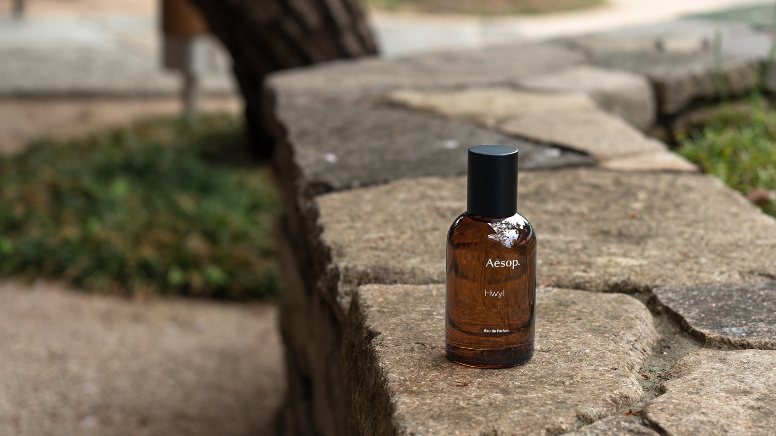 イソップがフレグランスをキャンペーン中！全7型からどれを選ぶ