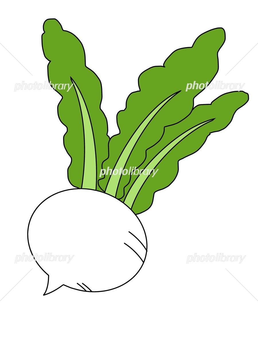 かぶ イラスト素材 [6224052] - フォトライブラリー