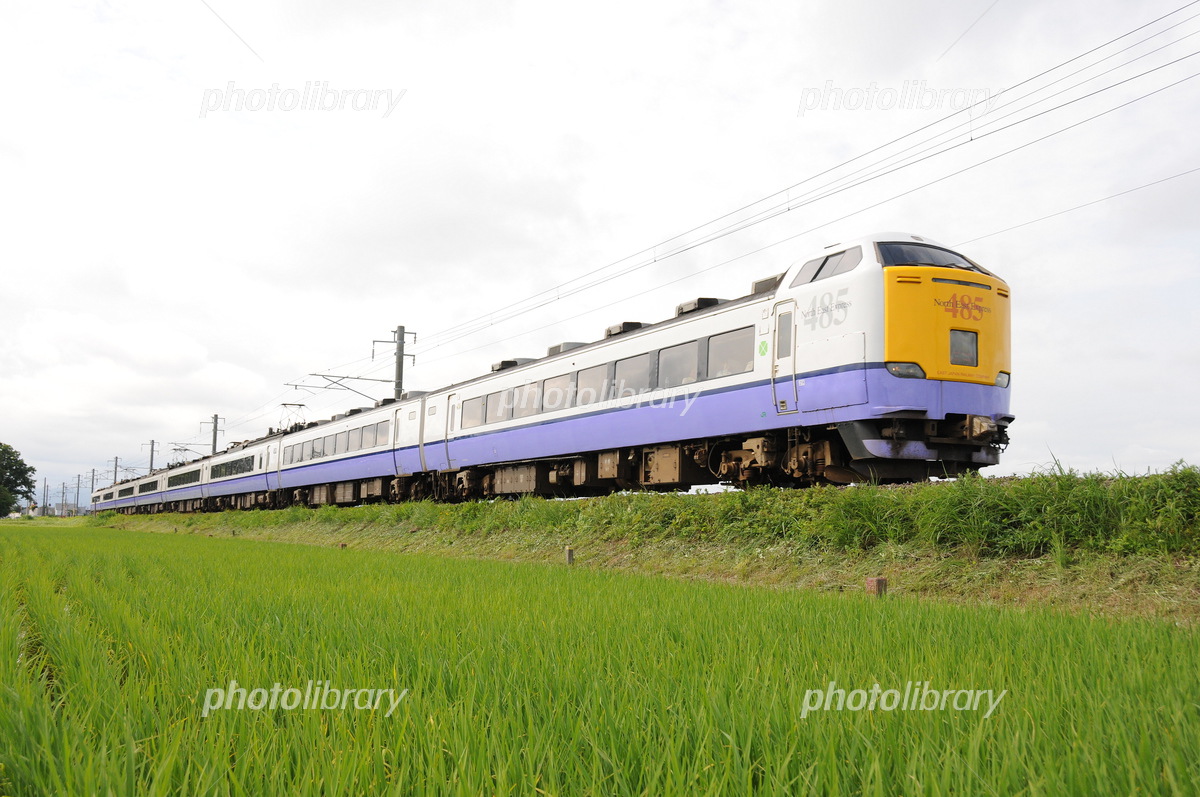 津軽線 485系3000番台8両編成の特急白鳥 写真素材 [7467868] - フォト