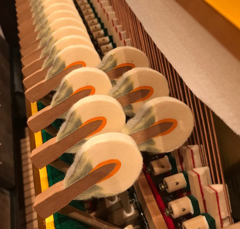 株式会社ピアノプラザ | APOLLO RU385W(203)