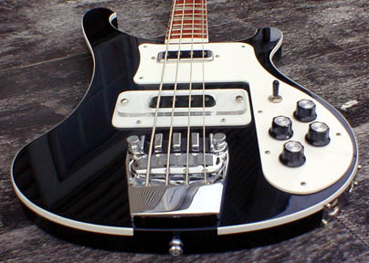 Rickenbacker RPUP/RPUG Combo…Buy Both & Save! | Pickguardian