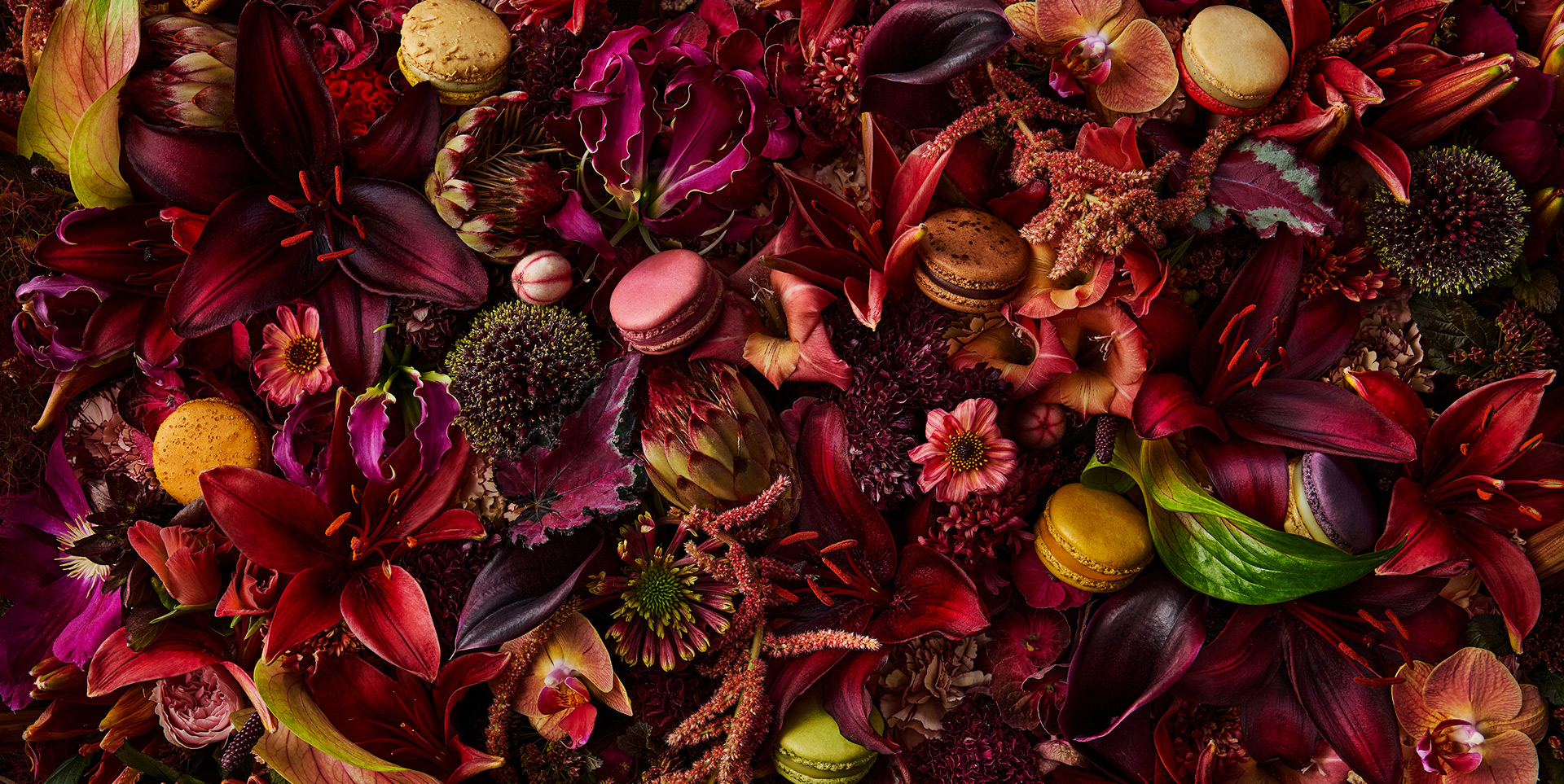 White Day 2026 | FEATURE | ピエール・エルメ・パリ -PIERRE HERMÉ PARIS-