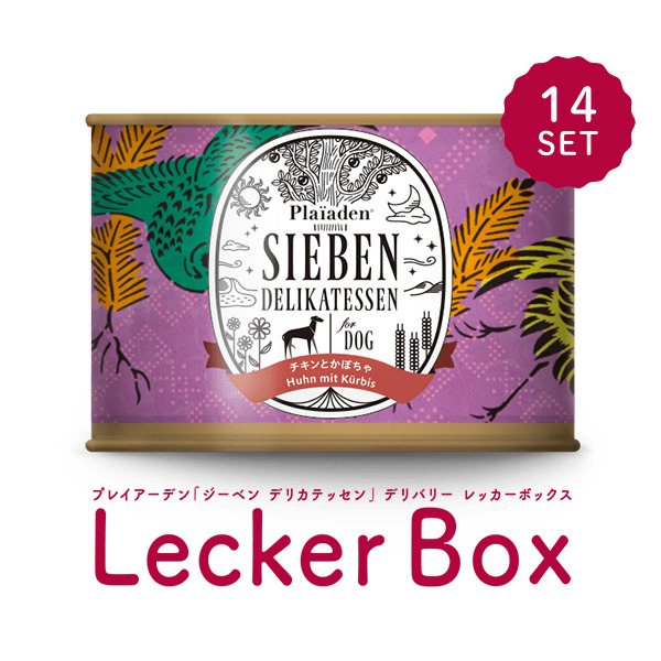 チキンとかぼちゃ200g 定期購入｜無添加ドッグフード｜プレイアーデン公式
