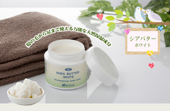 ケンソーシアバター・ホワイト 新発売 – プラナロム