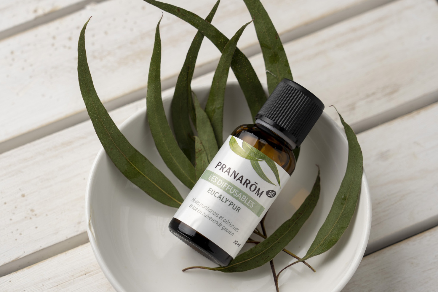 芳香剤・ルームコロン – プラナロム エッセンシャルオイル・精油｜健草