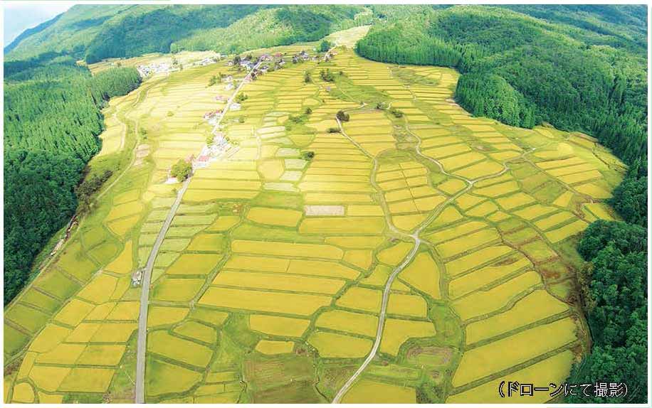 やまがたの棚田カード | 山形県