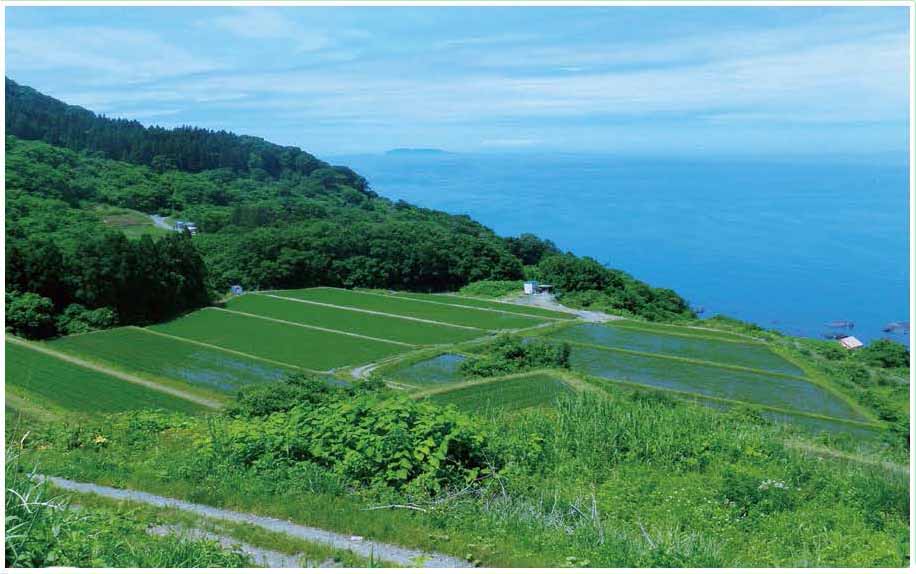 やまがたの棚田カード | 山形県