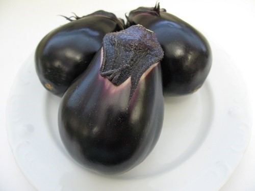 ナスの新品種「かな紫」 - 神奈川県ホームページ