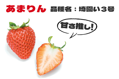 埼玉生まれのいちごを食べよう！ | 埼玉農産物ポータルサイト SAITAMA