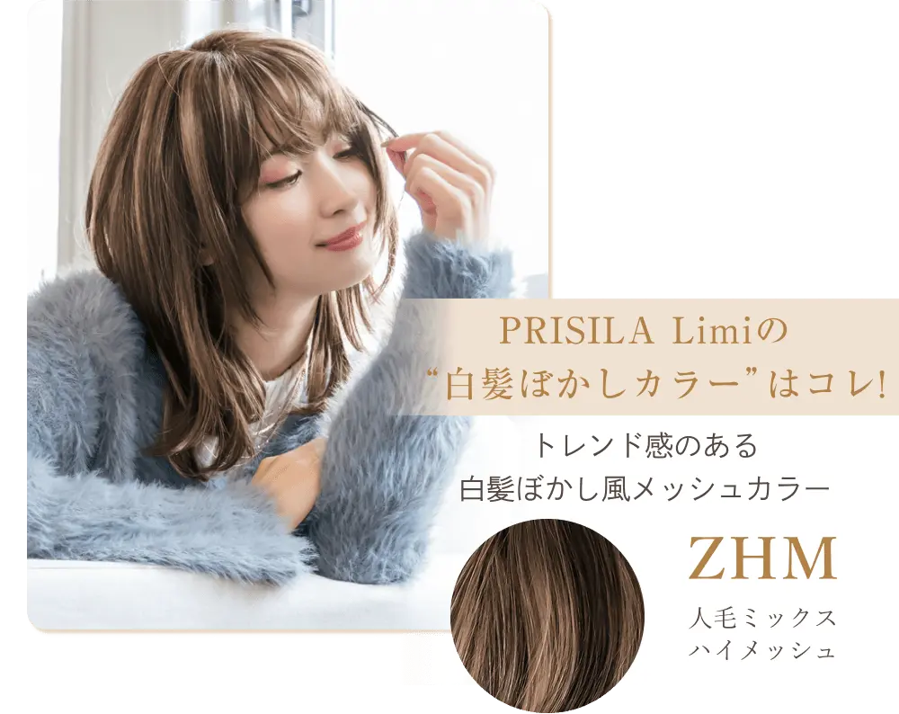 染めずに楽しむ白髪ぼかしカラー｜ウィッグとエクステのプリシラ 公式