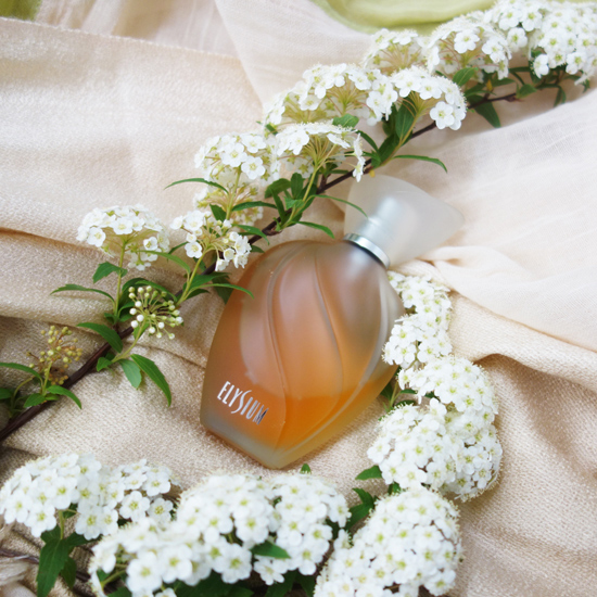 Elysium / エリジウム