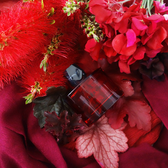 Cherry Punk / チェリーパンク