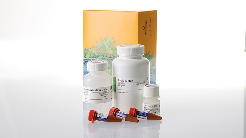 Bone DNA Extraction Kit, Custom