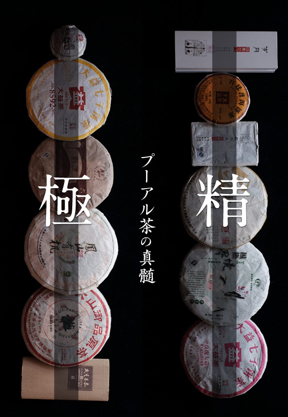 プーアル茶の真髄に迫るセット 極と精｜プーアル茶の通販専門店