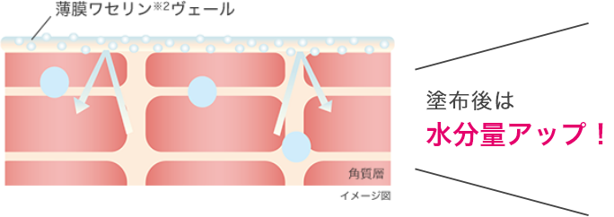 ハーモナイズ ワセリミスト│キューティス公式サイト