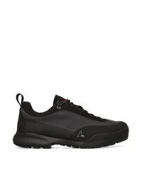 ROA X And Wander Cingino