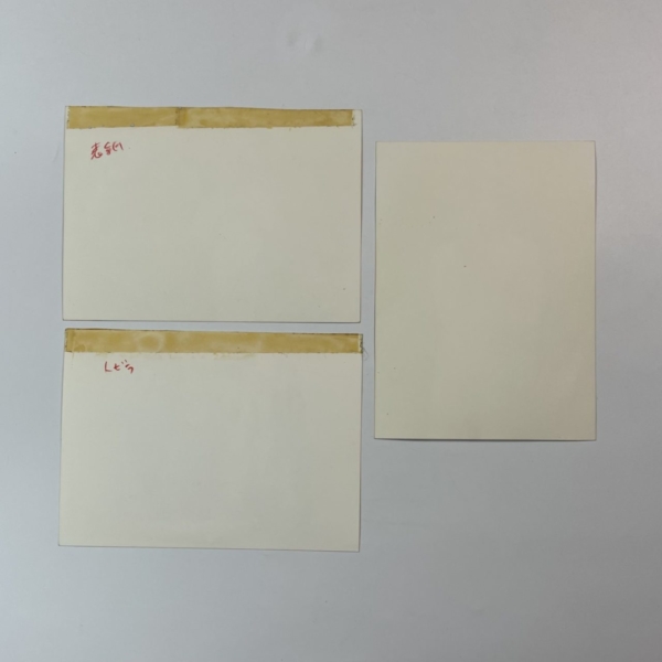 サザンオールスターズ 初期宣材写真3枚セット 宣伝用 資料写真 | 音楽