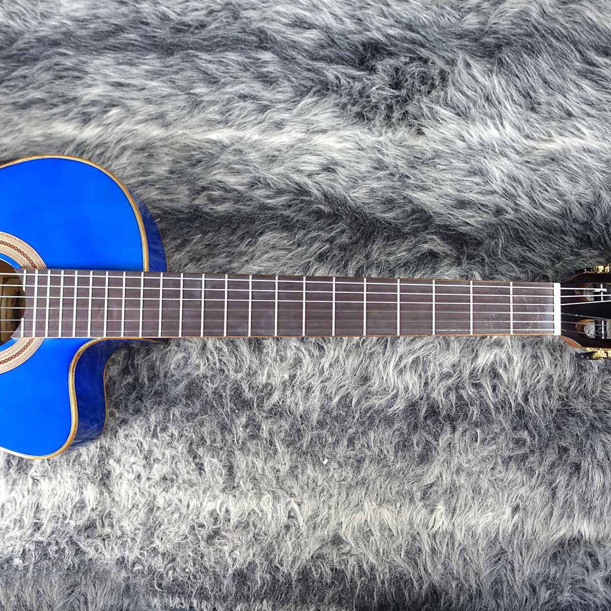 ARIA A-48CE See-through Blue <アリア>｜平野楽器 ロッキン