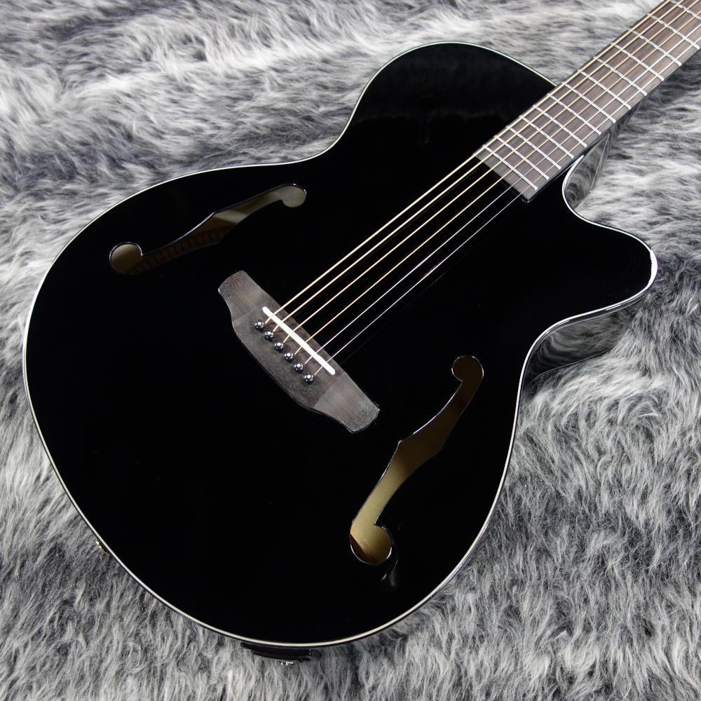 ARIA FET-F2/BnG BK <アリア>｜平野楽器 ロッキン オンラインストア