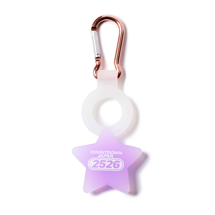 COUNTDOWN JAPAN 25/26