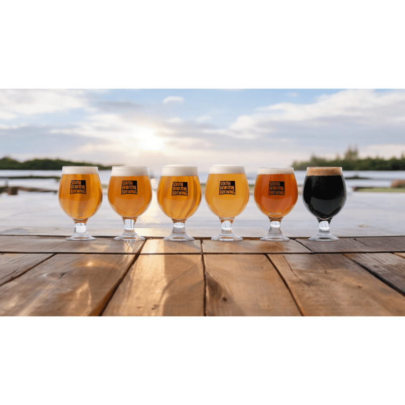 送料込み】【高知県】SOUTH HORIZON クラフトビール6種飲み比べ