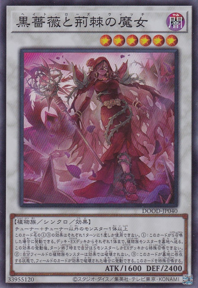 黒薔薇と荊棘の魔女（ヘイト・ローズ・ウィッチ） - 遊戯王専門：通販