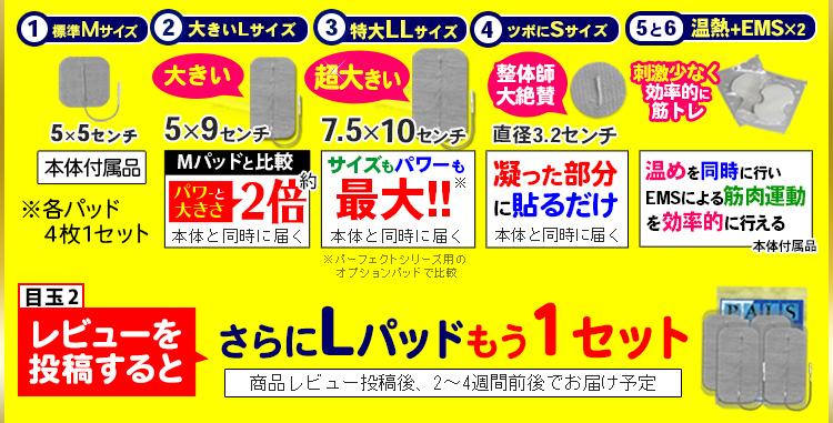 干渉波EMSマシン・パーフェクト4500ホット|公式楽天市場店