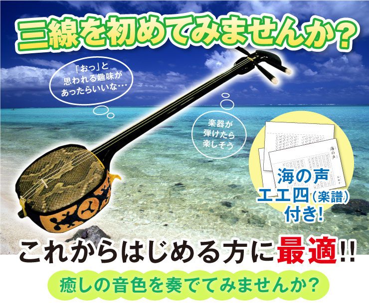 楽天市場】【初心者から上級者まで本格三線セット】沖縄三線21点セット