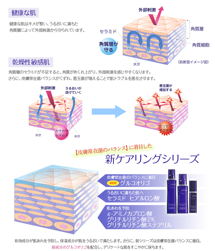 アクアベース シャンソン化粧品 ケアリングシリーズ
