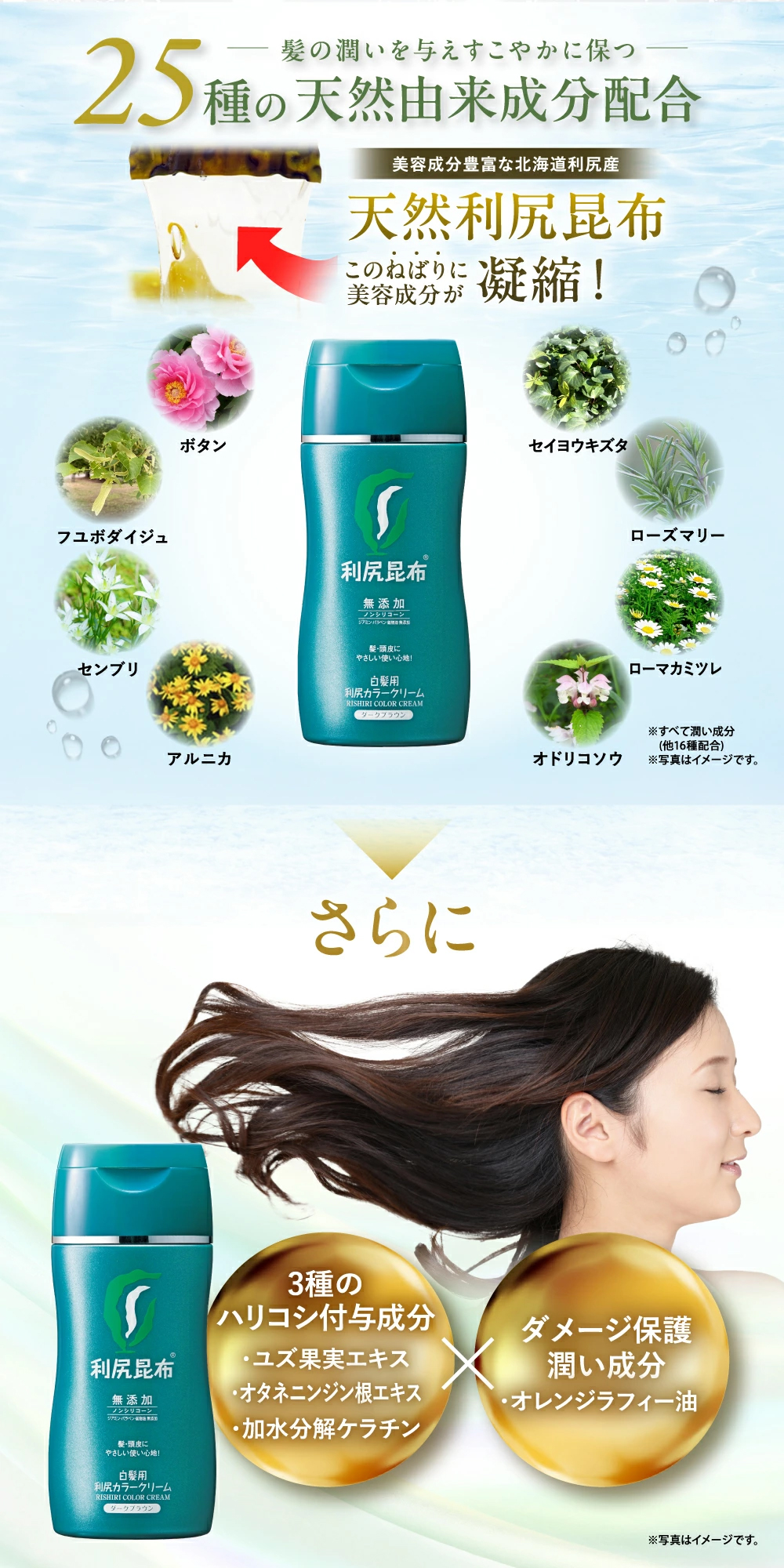 楽天市場】【スーパーSALE限定10%OFF】白髪用 利尻カラークリーム 170g