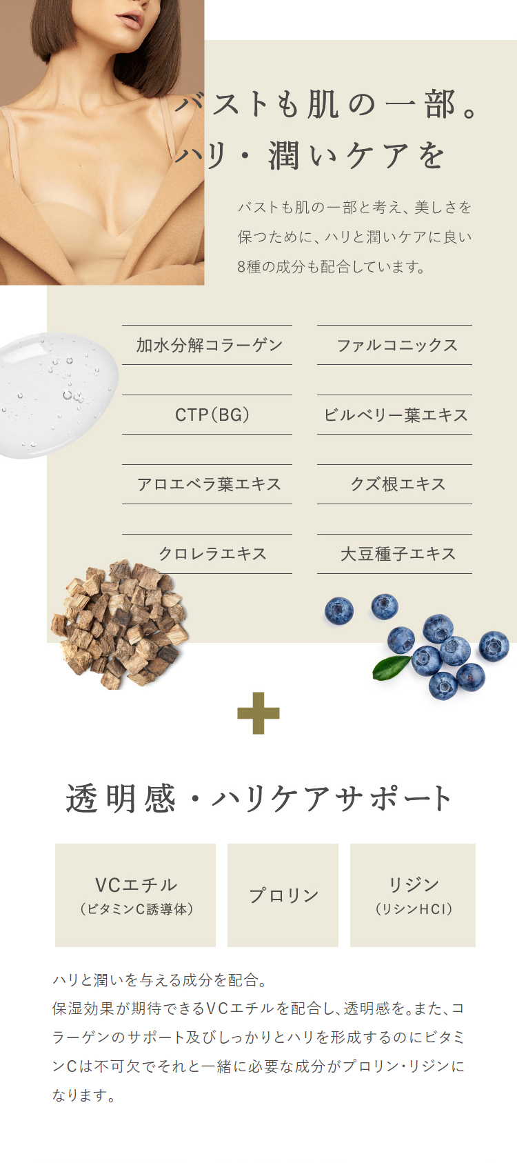 楽天市場】【楽天スーパーSALE 10%OFF 送料無料】【公式】 cellnote