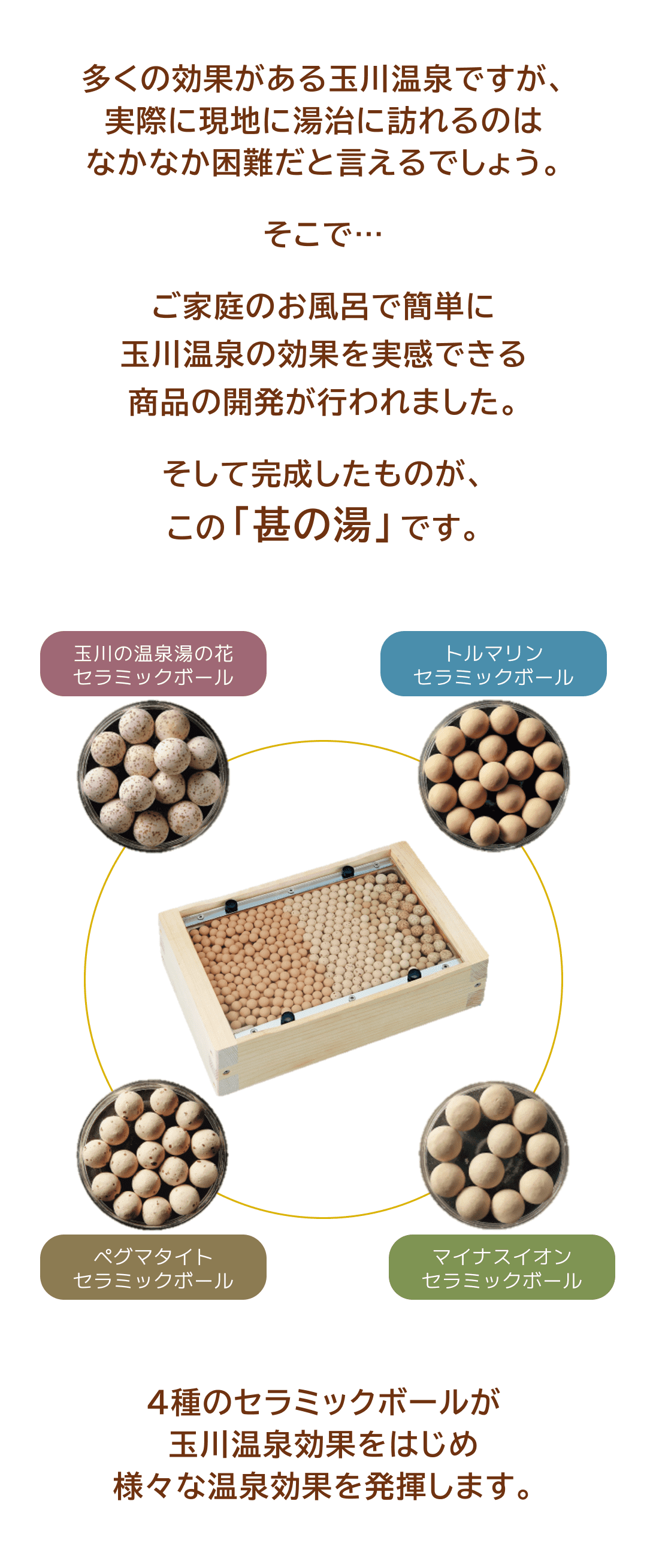 楽天市場】【楽天SS限定価格】 温浴器 