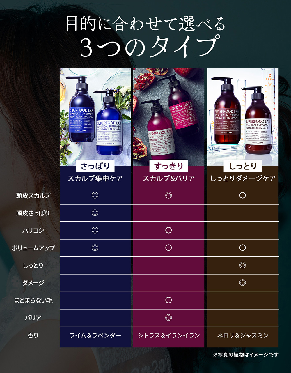 楽天市場】【 送料無料 】 SUPERFOODLAB ビオチン + オイル シャンプー