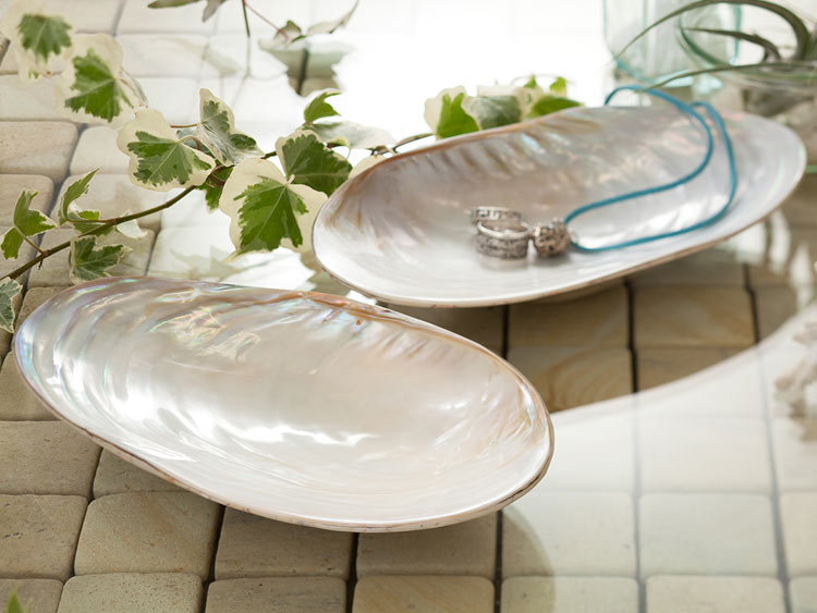 楽天市場】【最大半額＆7%OFFクーポン】シェルスパイラルトレイ バリ