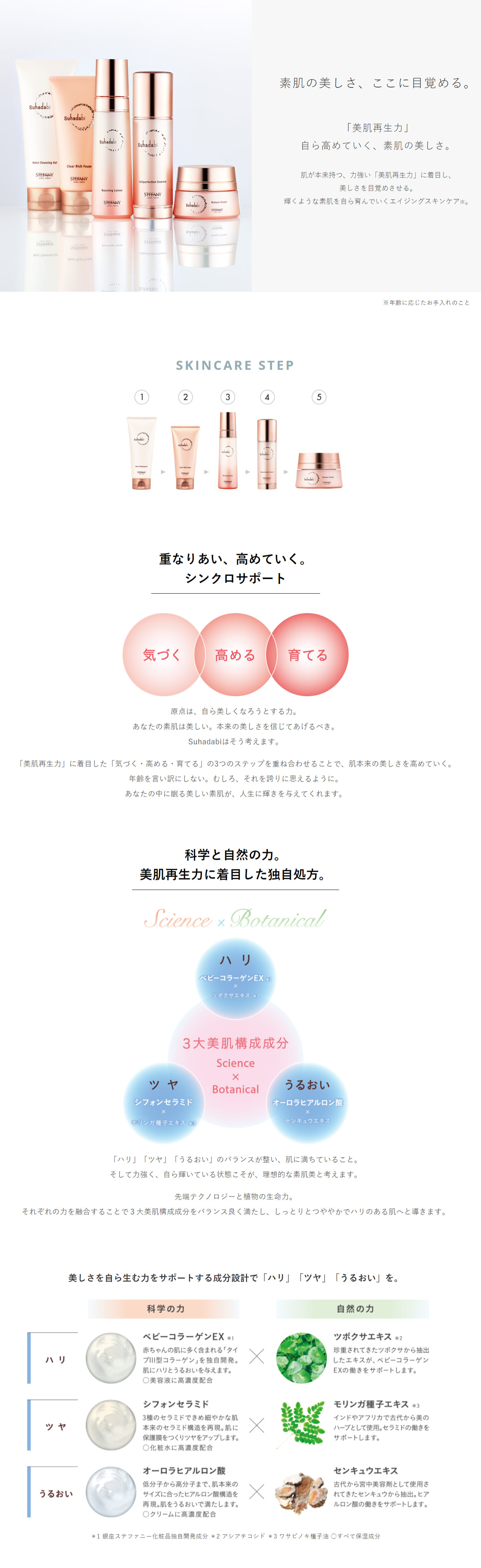 楽天市場】【ポイント20倍 3/4 20:00～3/11 01:59】【公式】Suhadabi