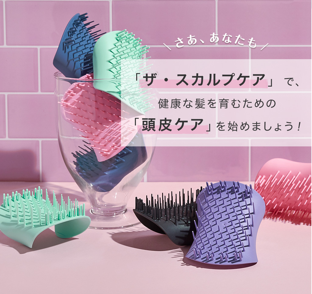 楽天市場】【最大1000円オフクーポン配布中！】【公式】タングル