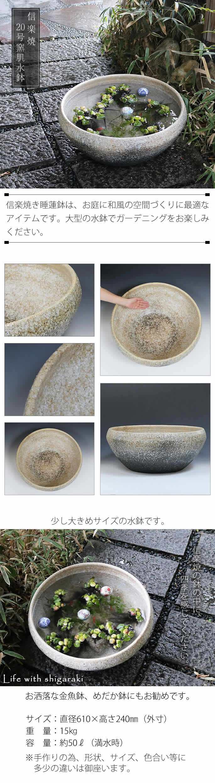 楽天市場】【38時間限定20%OFFクーポン配布中】スイレン鉢 大型 陶器