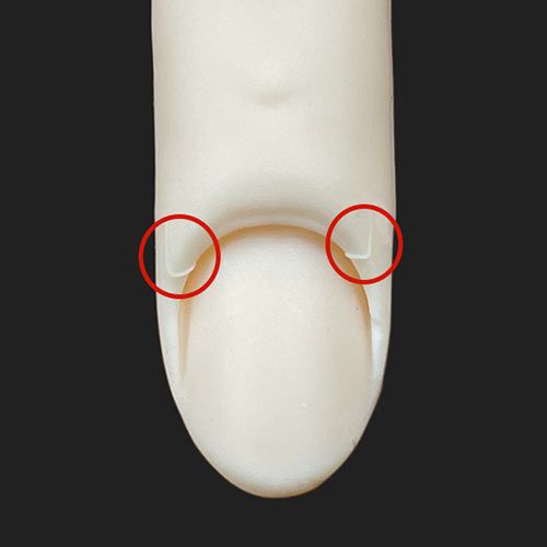 rednails web channel / ♪STモデルハンド 右手(JNEC 第1期認定モデル