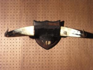 鹿つがい剥製壁掛け LCM 4549