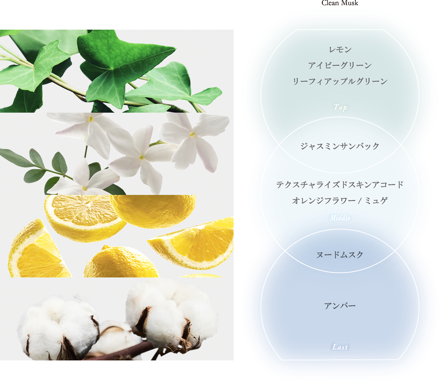 花梨ママ】ReFa for BODY＋グラントドレナージュレギンスS 花梨ママ