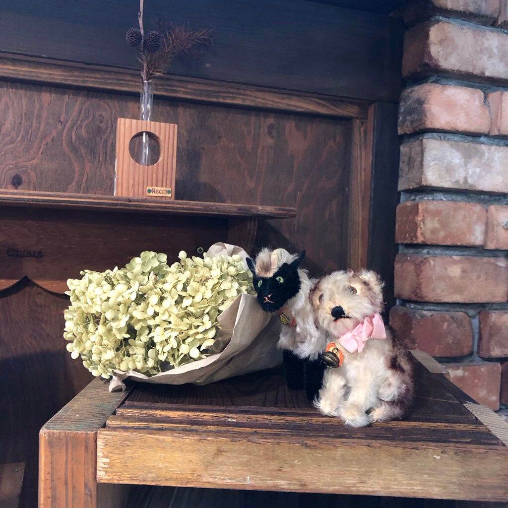 シュタイフ / Steiff 子犬のモリー/ Molly ぬいぐるみ ドイツ