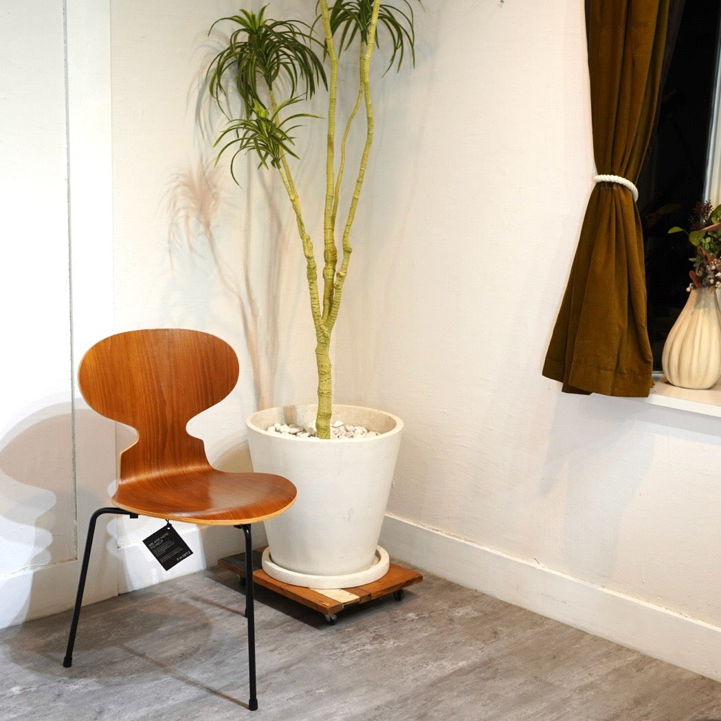 フリッツハンセン FRITZ HANSEN アントチェア antchair ウォールナット