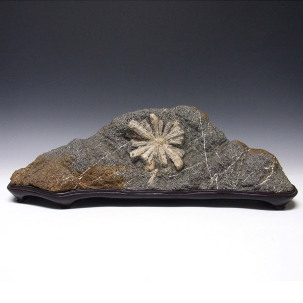 岡山のパワーストーン、風水・開運グッズのお店 龍祥本舗 / 美石・鑑賞石