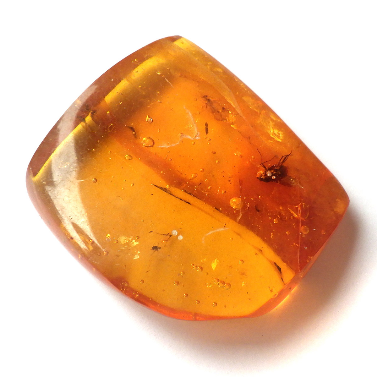 岡山のパワーストーン、風水・開運グッズのお店 龍祥本舗 / 虫入り