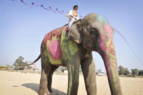 インドの壁画文化 村人と壁一面の巨大アートを作る | 国際交流基金