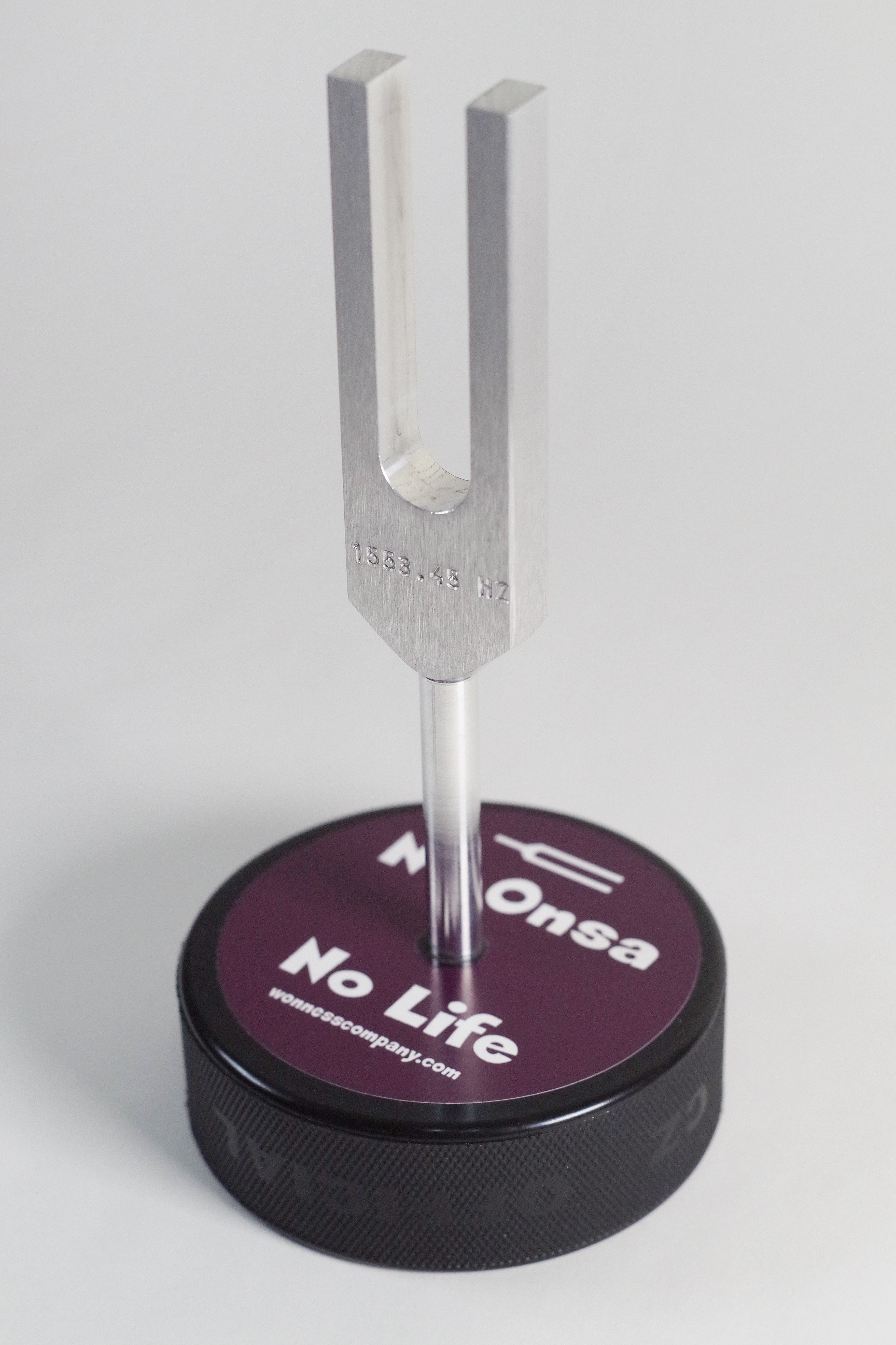 IMGP0465.jpg?format=pjpg&v=