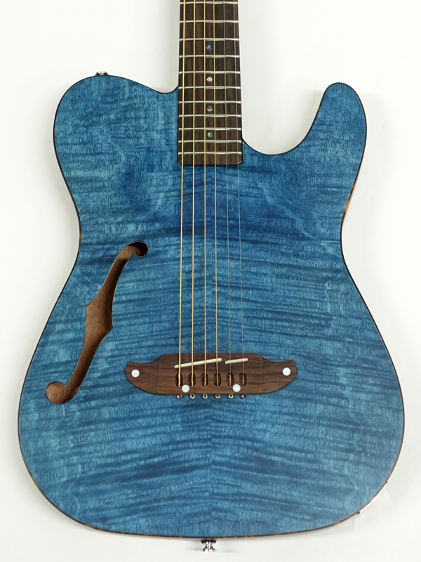 SCHECTER シェクター Oriental Line OL-FL / SSTB | ワタナベ楽器店 大阪店